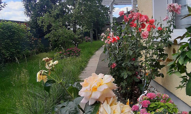 Eigentümer werden !! Bungalow mit 298m² Garten + Terrasse + Gartenhaus!